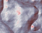 erotisches hrbuch