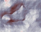 benjamin bluemchen verarschung