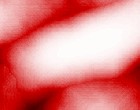 benjamin blmchen bilder