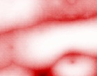 erotisches hrbuch