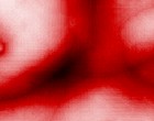 bibi blocksberg site www.dvdothek.com